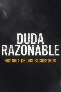 Reasonable Doubt: A Tale of Two Kidnappings - Posters