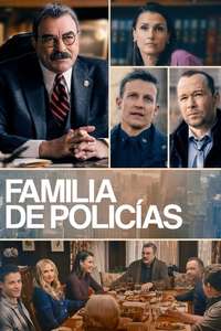 Blue Bloods - Posters