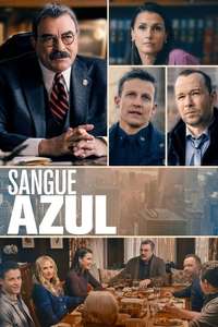 Blue Bloods - Posters