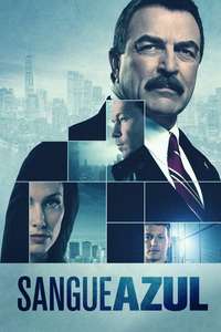 Blue Bloods - Posters