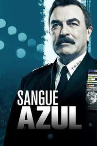 Blue Bloods - Posters