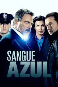 Blue Bloods - Posters