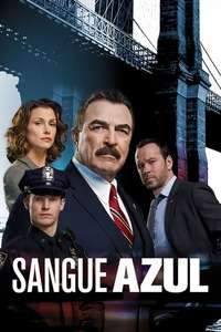 Blue Bloods - Posters