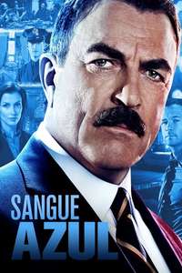 Blue Bloods - Posters
