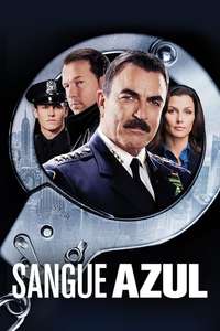 Blue Bloods - Posters