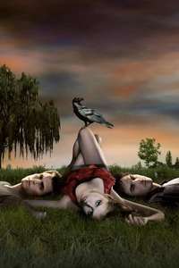 The Vampire Diaries - Posters