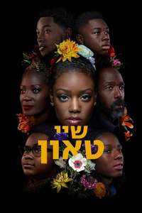 The Chi - Posters