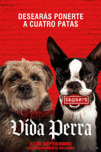 Strays - Posters