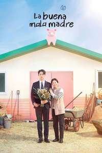 The Good Bad Mother - Posters