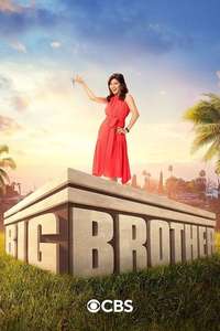 Big Brother - Posters
