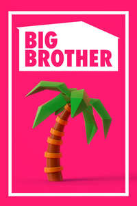 Big Brother - Posters