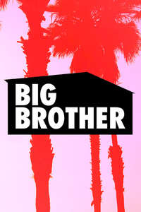 Big Brother - Posters