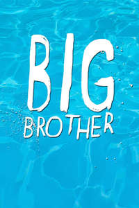 Big Brother - Posters