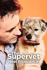 The Supervet - Posters