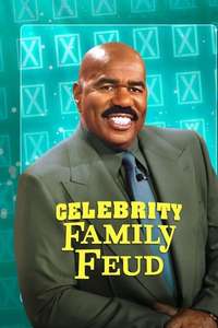 Celebrity Family Feud - Posters