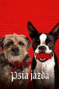 Strays - Posters