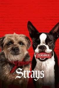 Strays - Posters