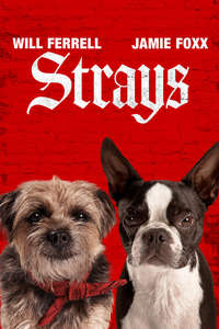 Strays - Posters