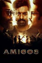 Amigos