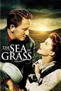 The Sea of Grass - Posters