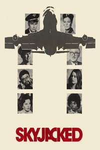 Skyjacked - Poster