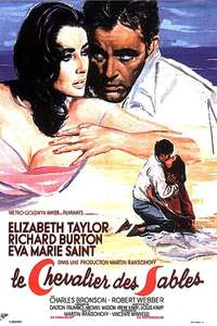 The Sandpiper - Poster