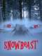 Snowbeast