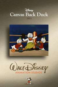 Canvas Back Duck - Posters
