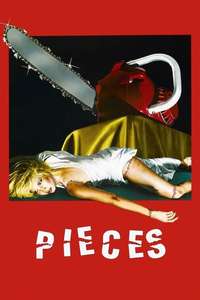 Pieces - Poster