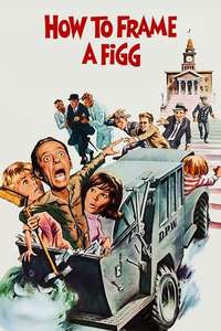 How to Frame a Figg - Poster
