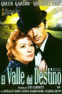 The Valley of Decision - Poster