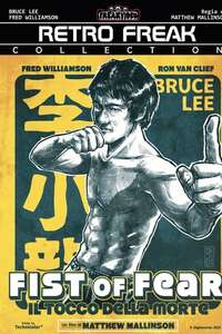 Fist of Fear  Touch of Death - Poster