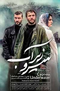 Cypress Under Water - Poster