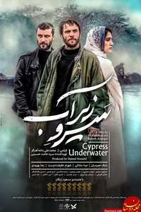 Cypress Under Water - Poster