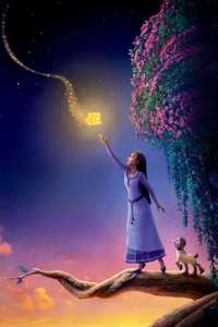 Wish - Posters