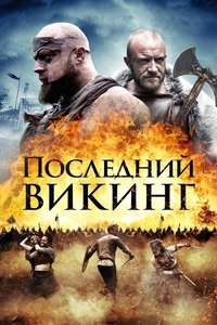 The Lost Viking - Poster