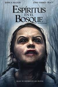 The Hollow Child - Poster