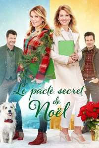 Switched for Christmas - Poster