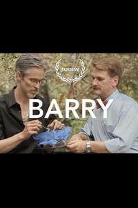 Barry - Poster