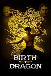 Birth of the Dragon - Posters