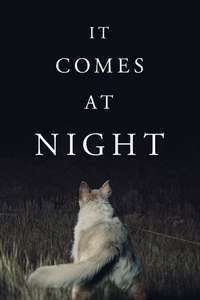 It Comes at Night - Poster