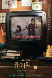 The Kidnapping Day - Posters