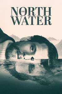 The North Water - Posters
