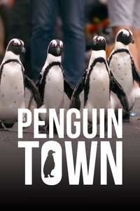 Penguin Town - Posters
