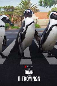 Penguin Town - Posters