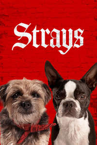 Strays - Posters