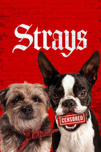 Strays - Posters