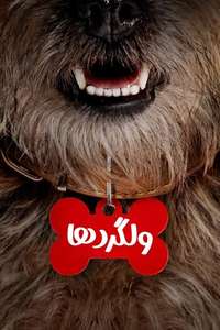 Strays - Posters