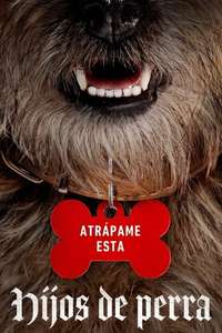 Strays - Posters