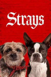 Strays - Posters